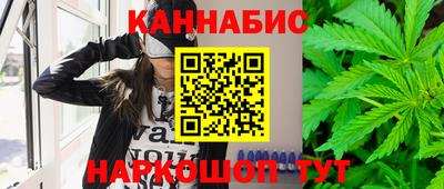 apvp Пугачёв