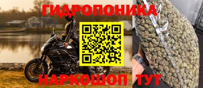 apvp Пугачёв