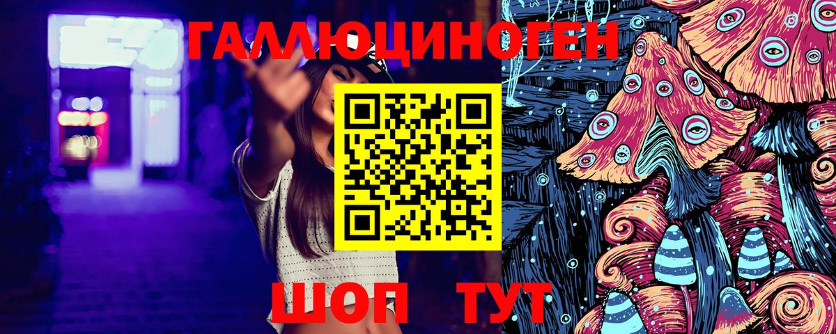 Пугачёв  Галлюциногенные грибы Cubensis  Вход с VPN 