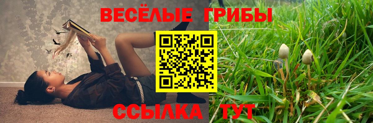 Галлюциногенные грибы Magic Shrooms Пугачёв